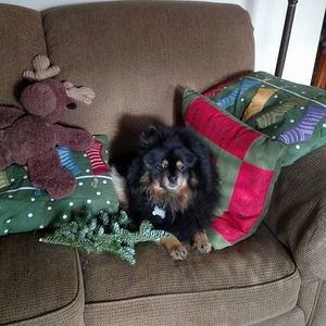 Meet your Posher, Susanne